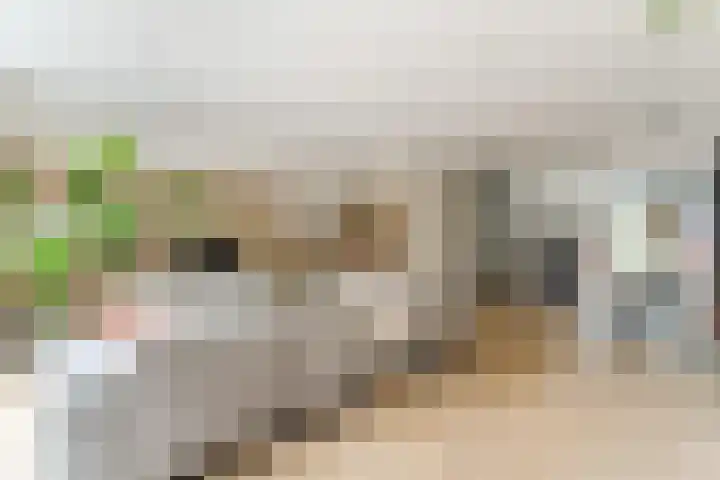 Garmt Stuivelingsingel 33 De Meern thumbnail 25