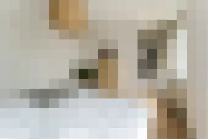 Garmt Stuivelingsingel 33 De Meern thumbnail 35