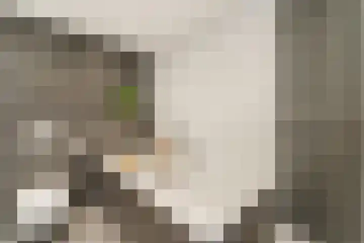 Garmt Stuivelingsingel 33 De Meern thumbnail 37