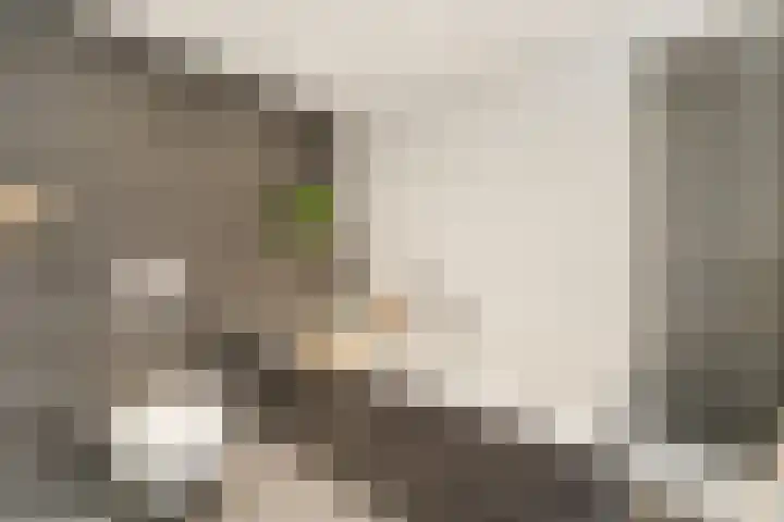 Garmt Stuivelingsingel 33 De Meern thumbnail 38