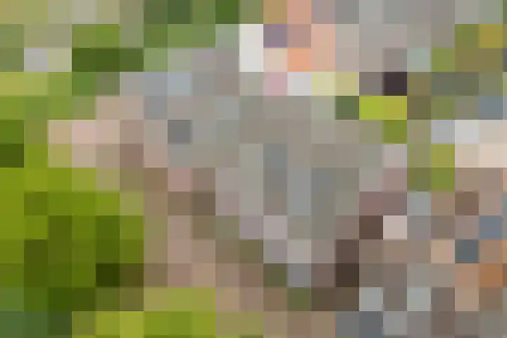 Garmt Stuivelingsingel 33 De Meern thumbnail 4