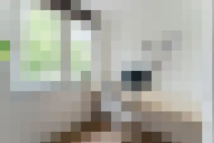 Garmt Stuivelingsingel 33 De Meern thumbnail 41