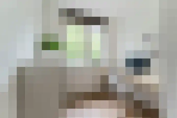 Garmt Stuivelingsingel 33 De Meern thumbnail 42