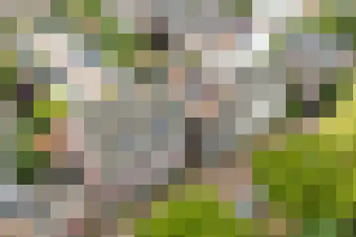 Garmt Stuivelingsingel 33 De Meern thumbnail 56