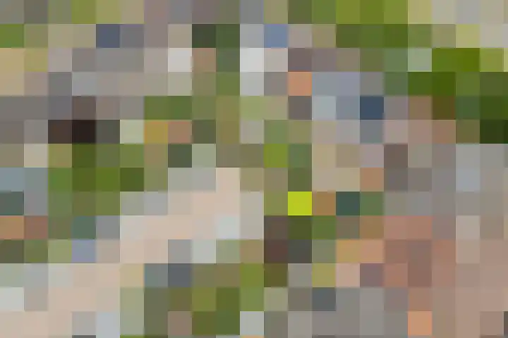 Garmt Stuivelingsingel 33 De Meern thumbnail 58