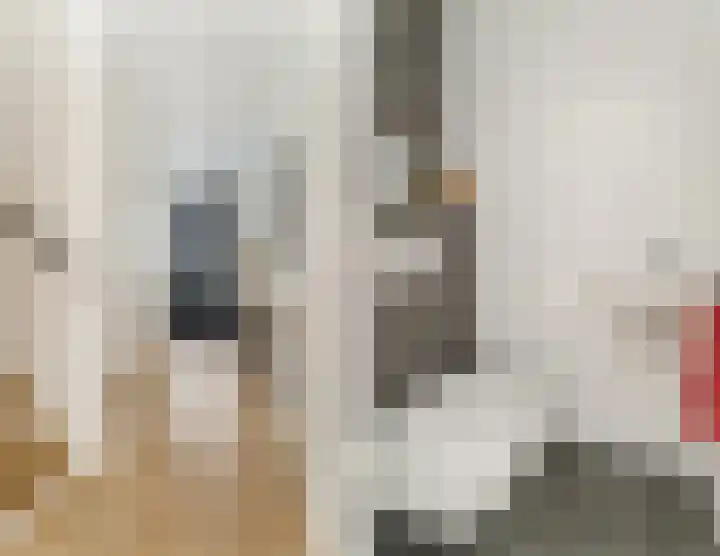 Garmt Stuivelingsingel 33 De Meern thumbnail 6