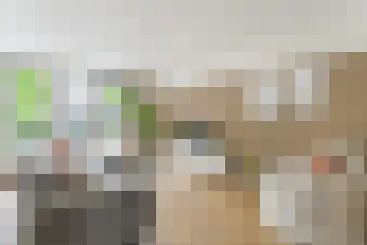 Garmt Stuivelingsingel 33 De Meern thumbnail 9