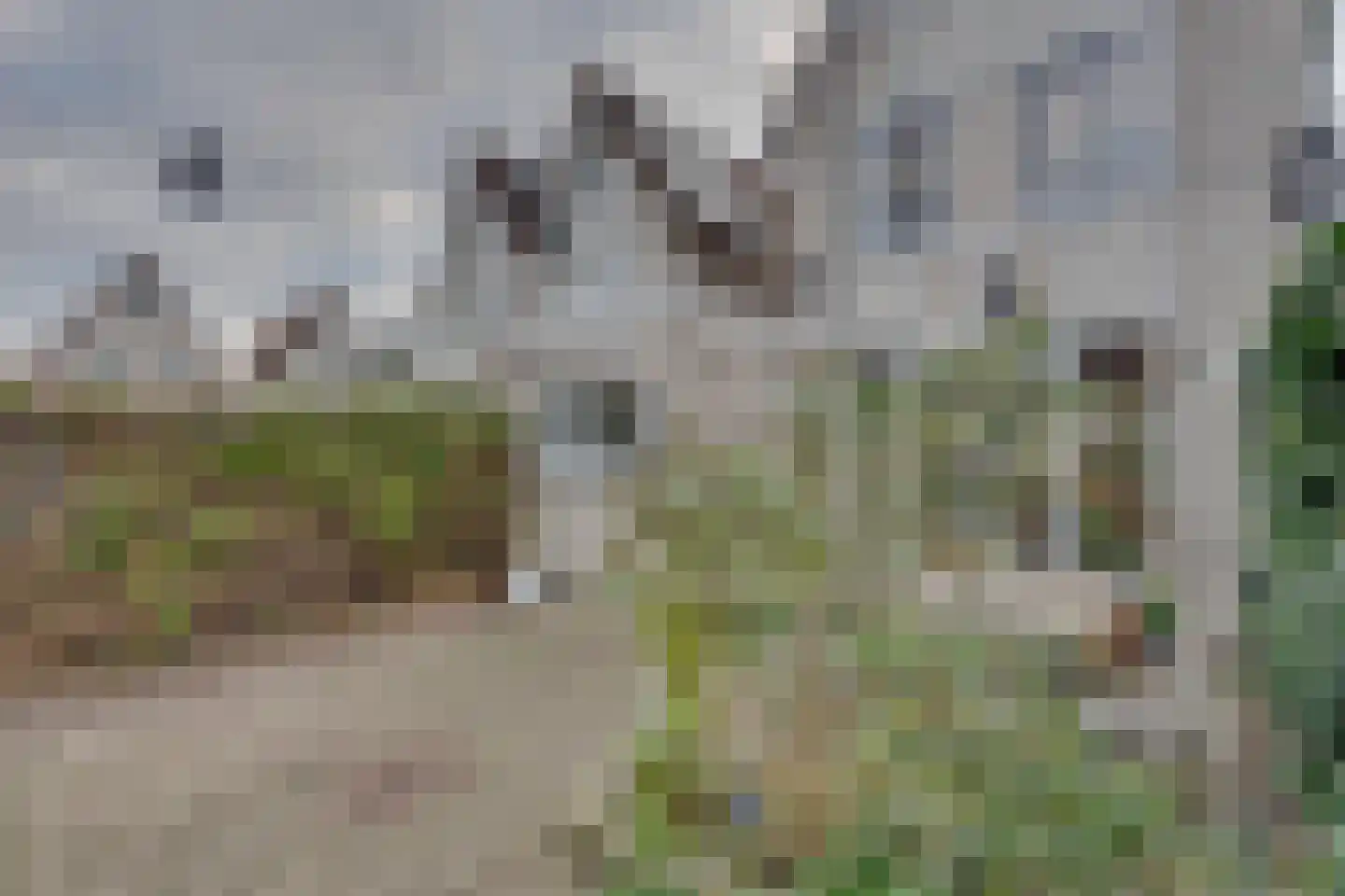 Garnaetwei 10 Goes thumbnail 54