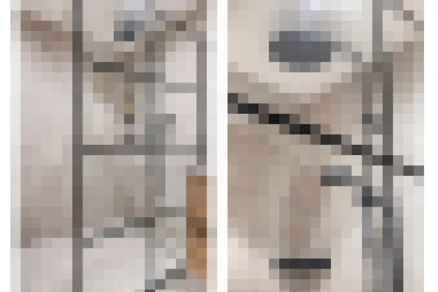 Garnaetwei 12 Goes thumbnail 23