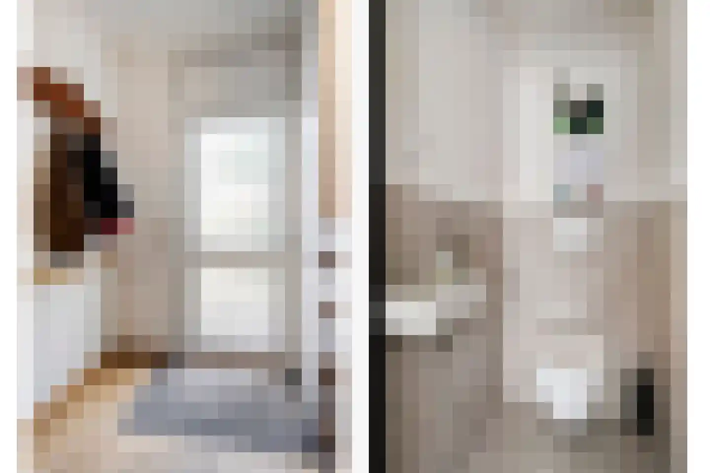 Garnaetwei 12 Goes thumbnail 6