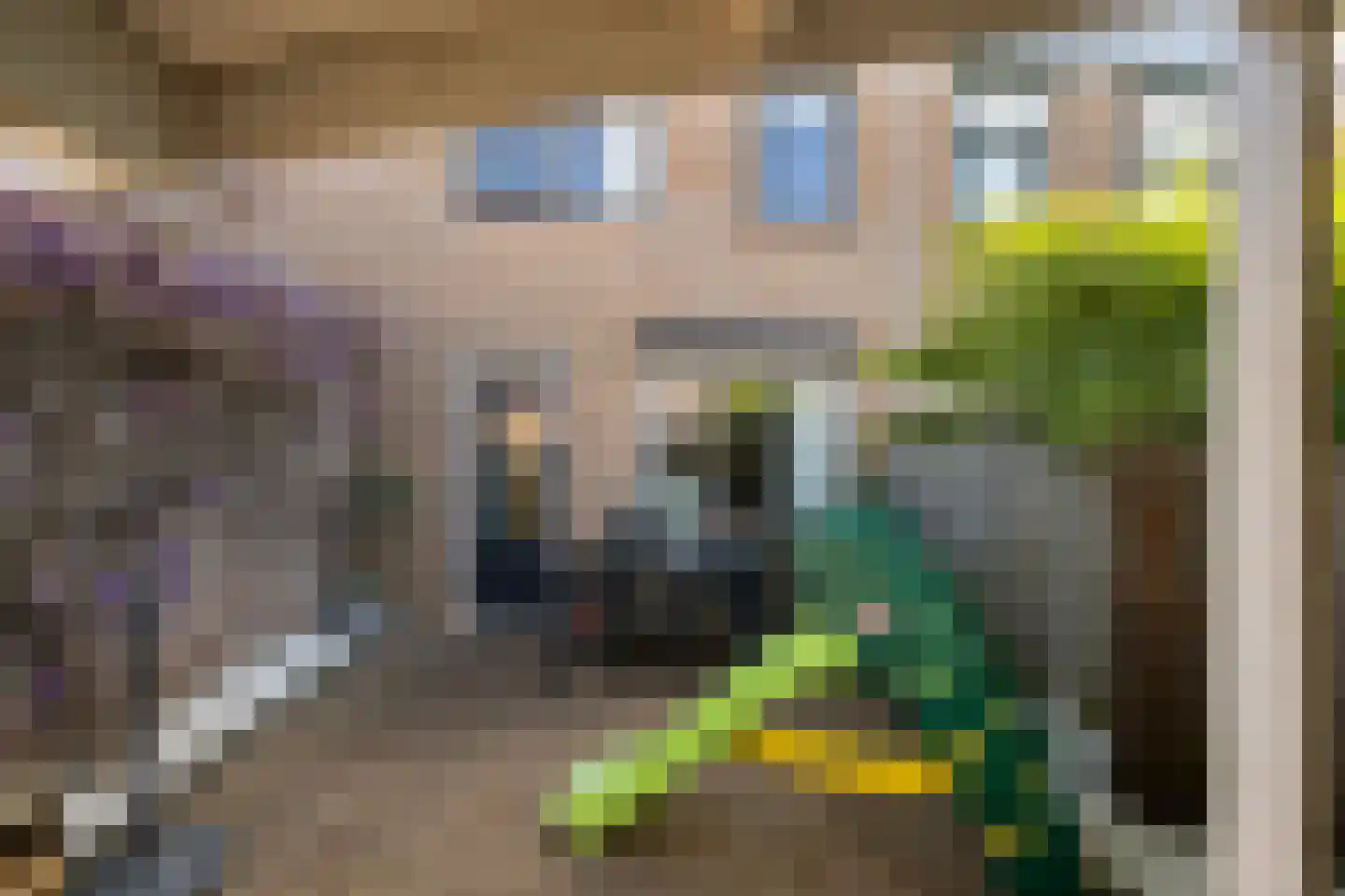 Garnalenstraat 13 Tholen thumbnail 30