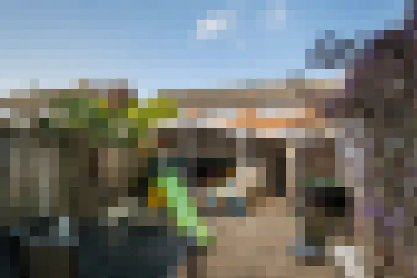 Garnalenstraat 13 Tholen thumbnail 5
