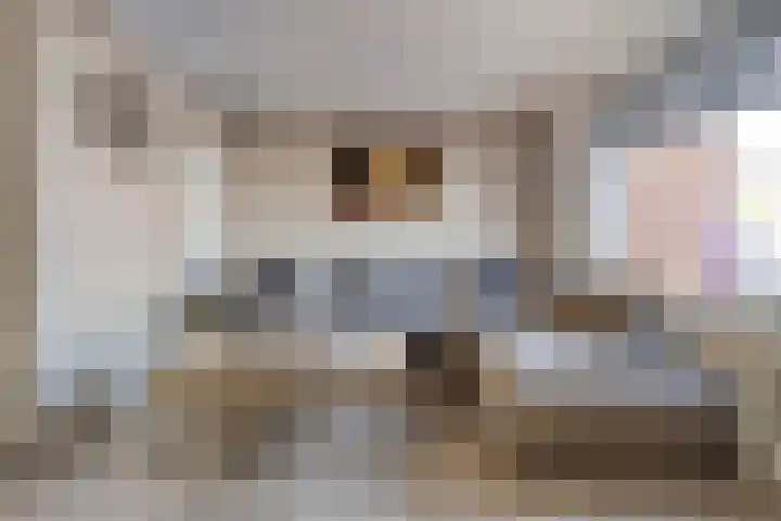 Garnalenstraat 6 Tholen thumbnail 7