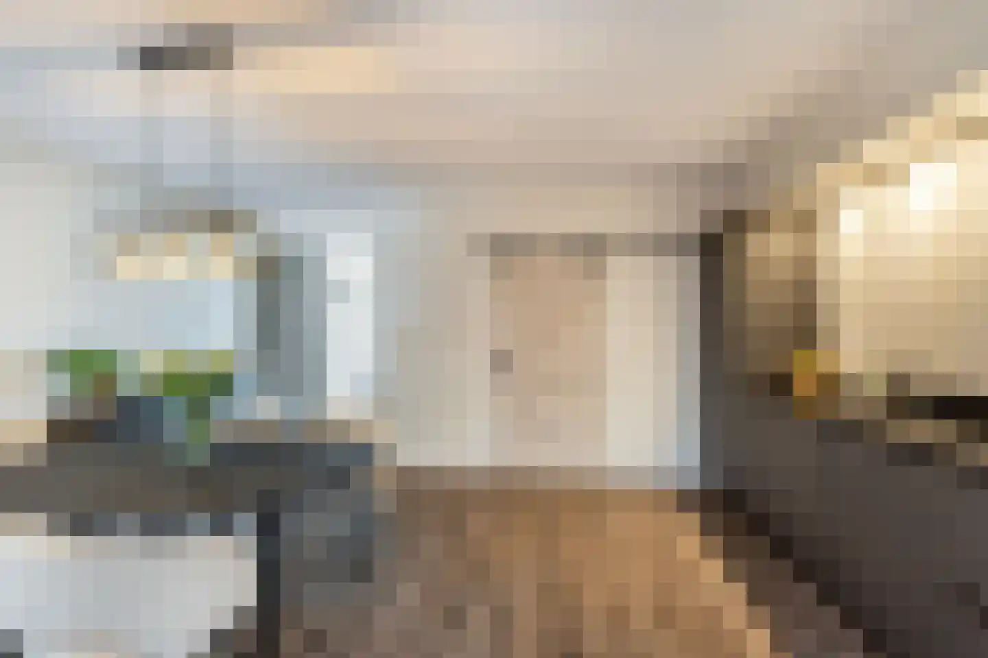 Garnalenstraat 96 Tholen thumbnail 13