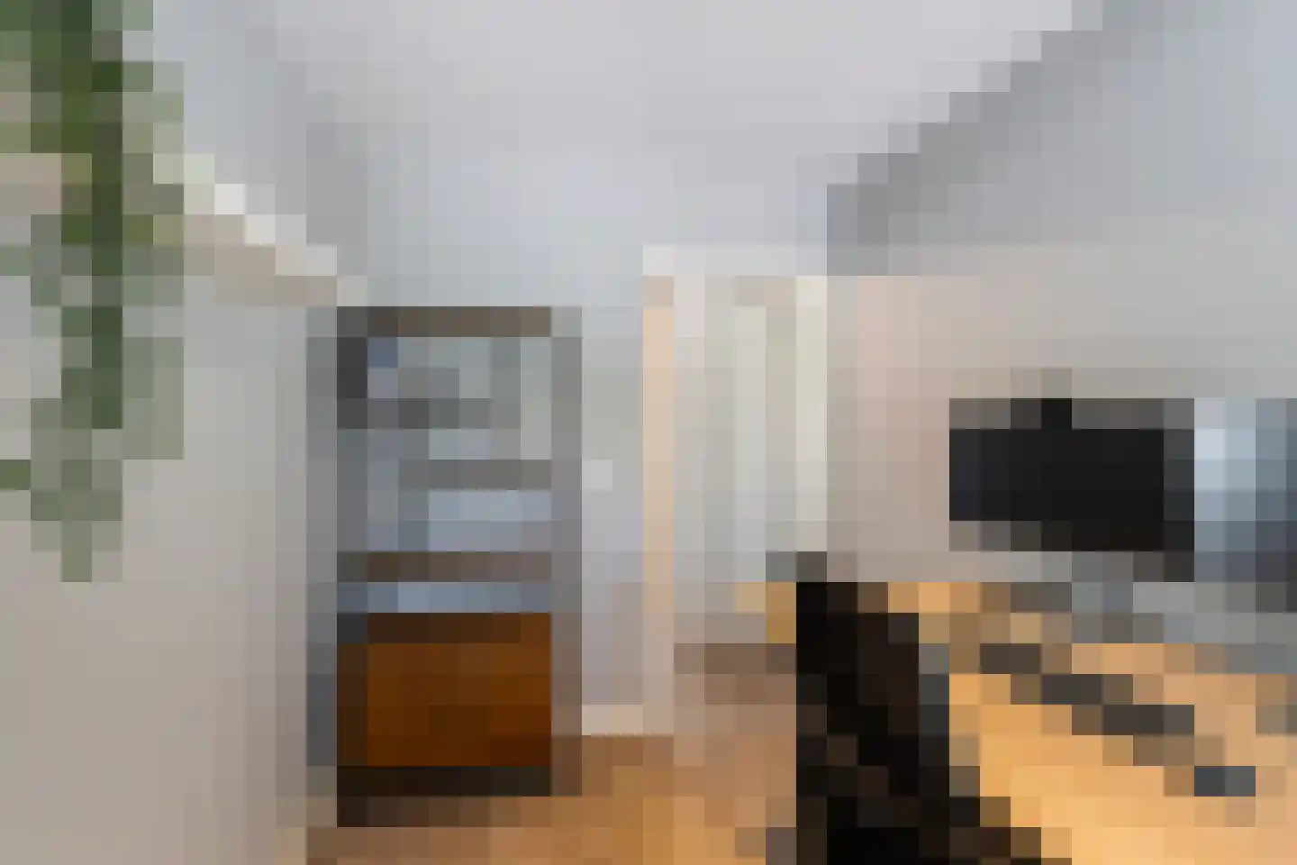 Garnalenstraat 96 Tholen thumbnail 24