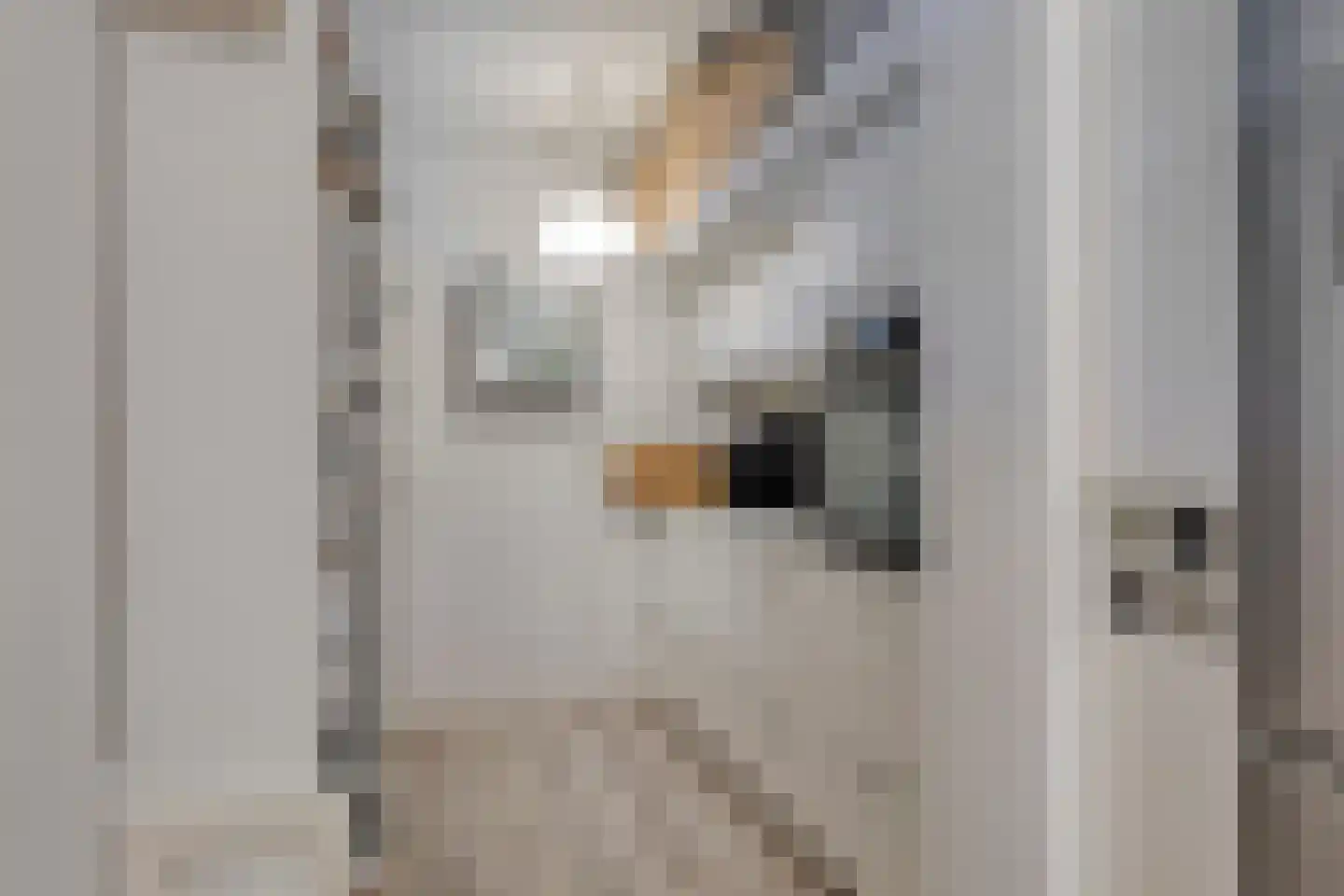 Garnichweg 3 Eindhoven thumbnail 16