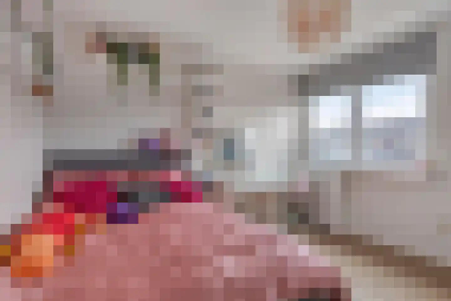 Garnichweg 3 Eindhoven thumbnail 31
