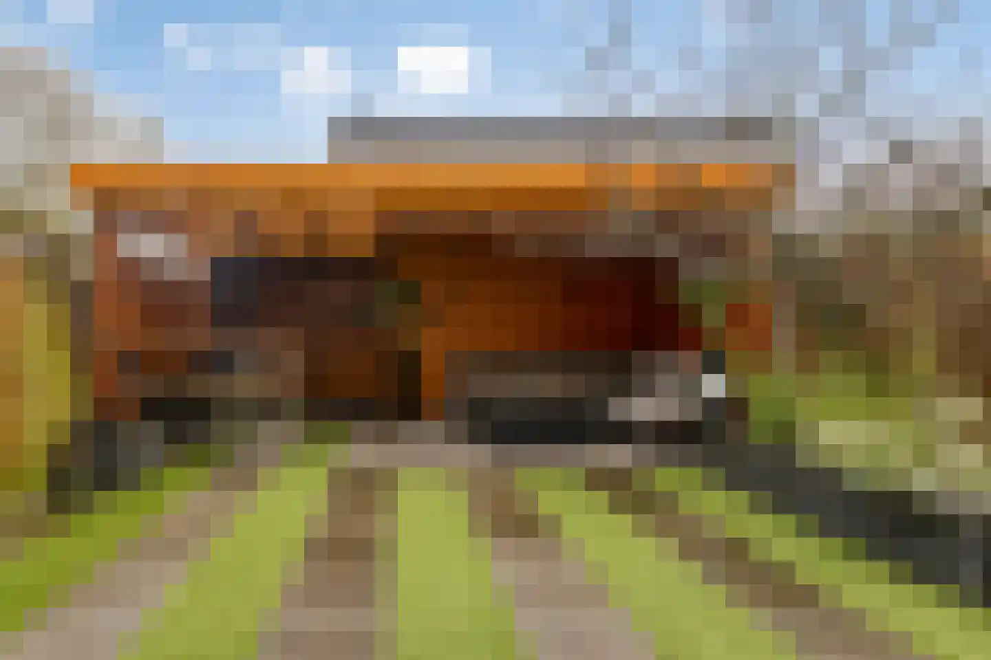 Garnichweg 3 Eindhoven thumbnail 34