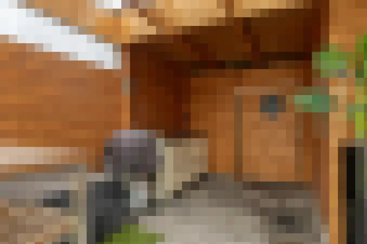 Garnichweg 3 Eindhoven thumbnail 35