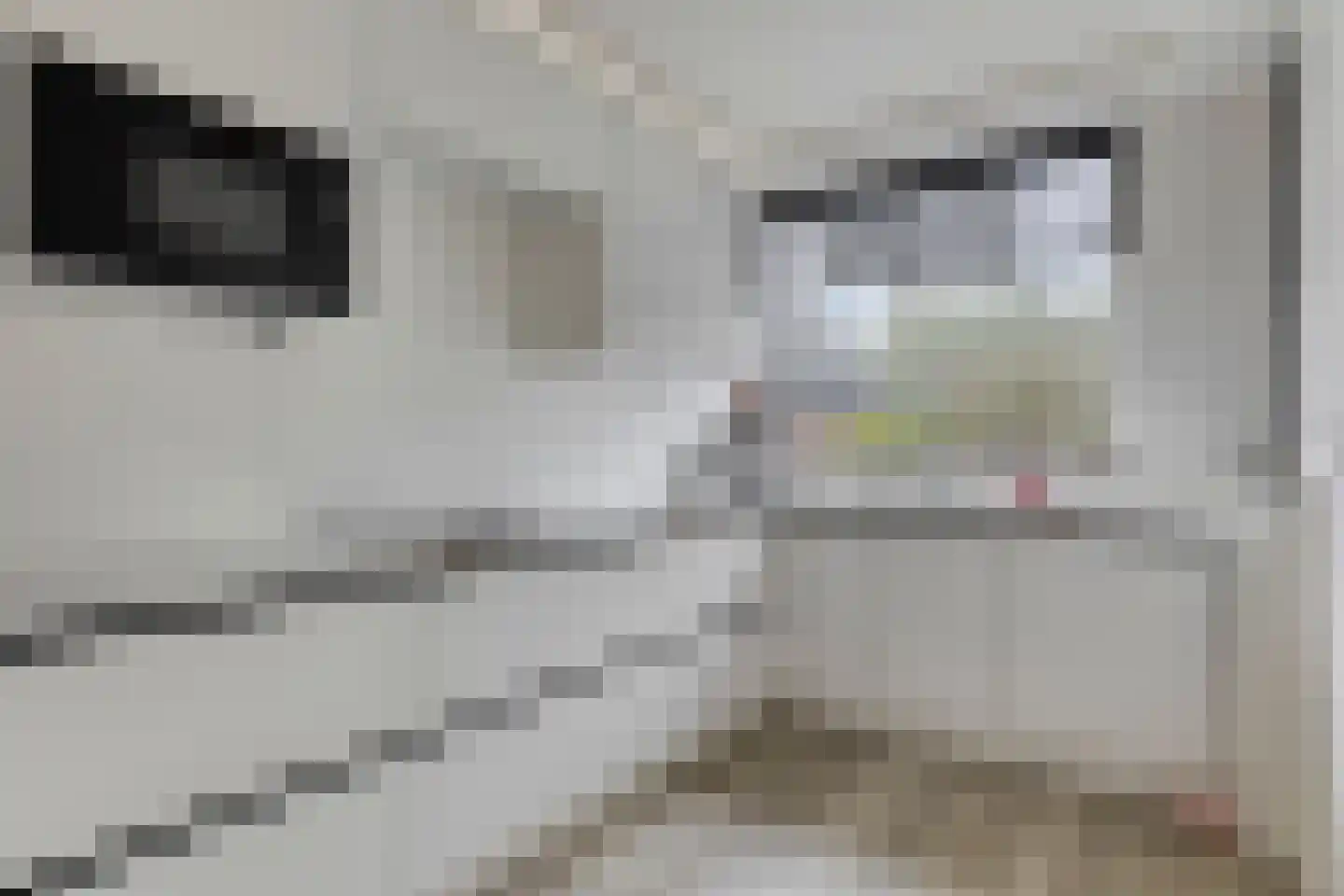 Garnichweg 3 Eindhoven thumbnail 5