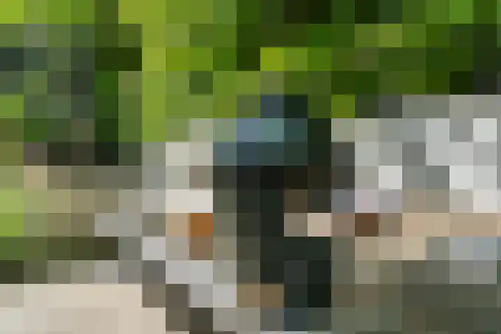 Garnizoen 8 Ede thumbnail 53