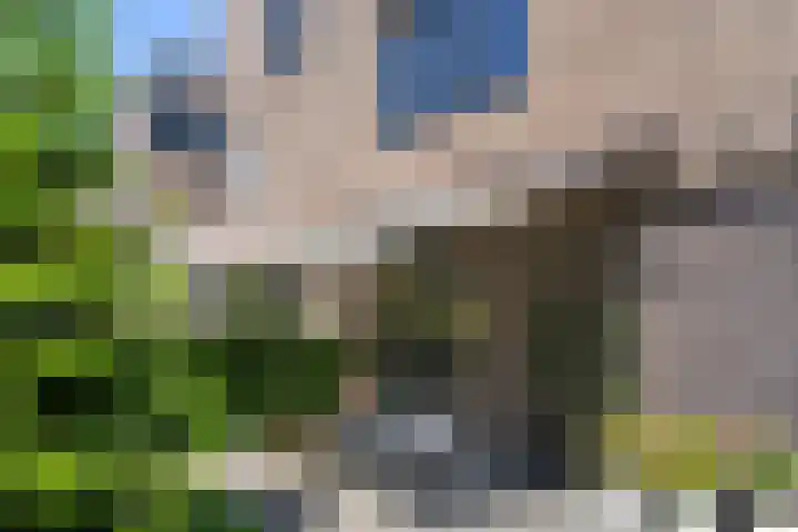Garnizoen 8 Ede thumbnail 8