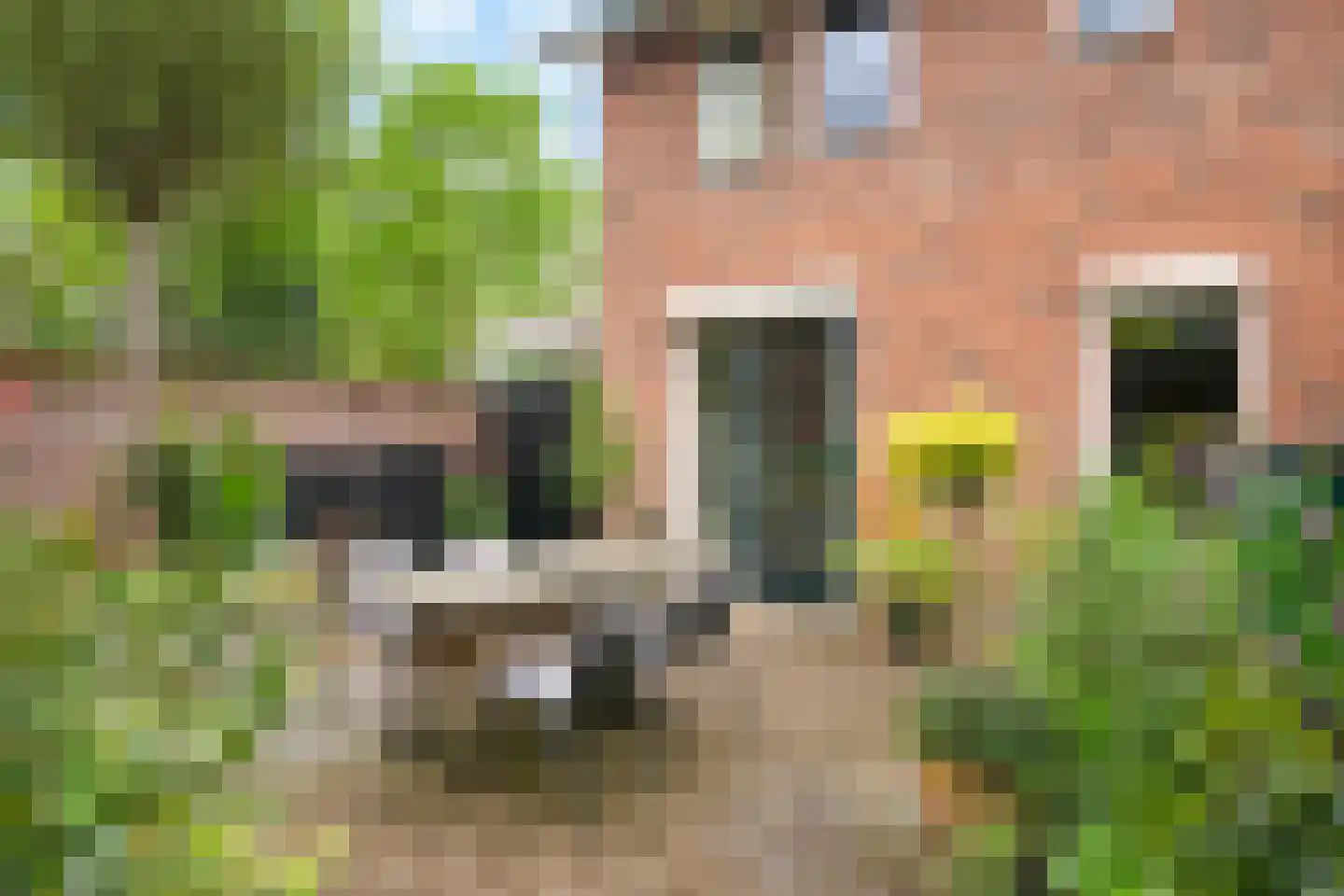 Garnizoenstraat 10 Arnhem thumbnail 22