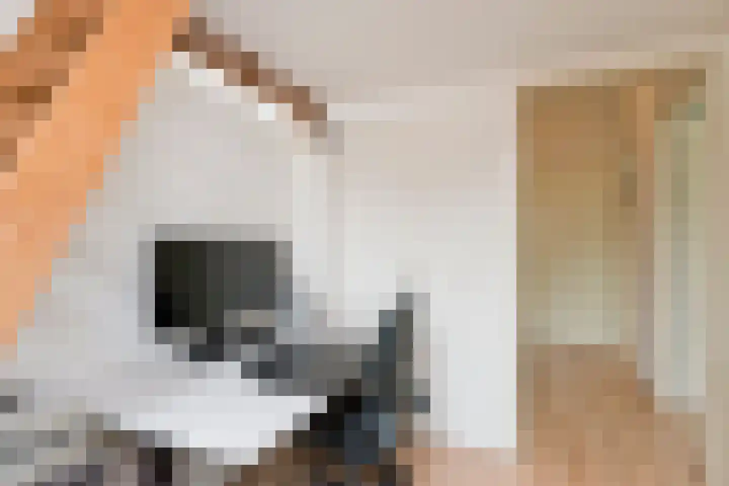 Garnizoenstraat 10 Arnhem thumbnail 32