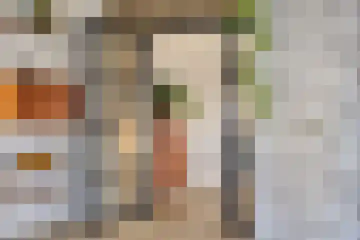 Garnizoenstraat 11 Schalkhaar thumbnail 15