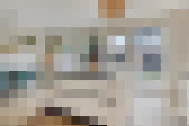 Garnizoenstraat 11 Schalkhaar thumbnail 24