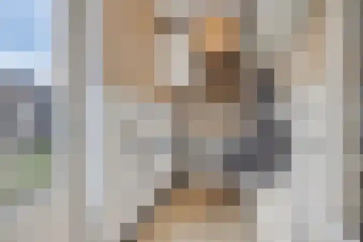 Garnizoenstraat 11 Schalkhaar thumbnail 30