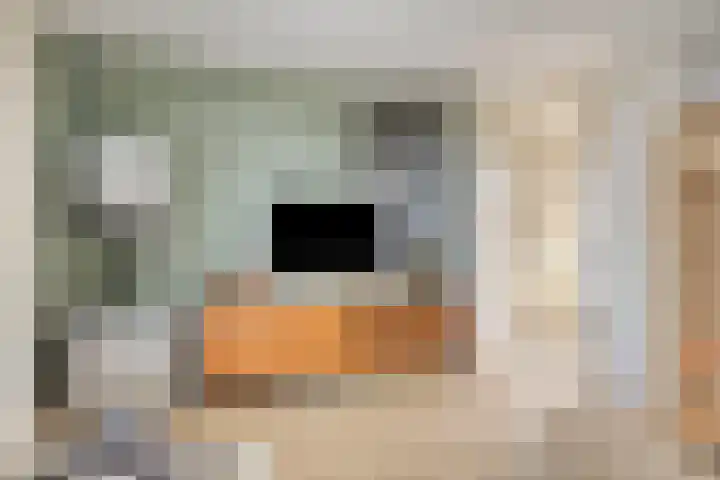 Garnizoenstraat 11 Schalkhaar thumbnail 32
