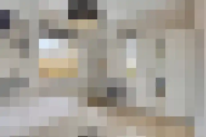 Garnizoenstraat 11 Schalkhaar thumbnail 39