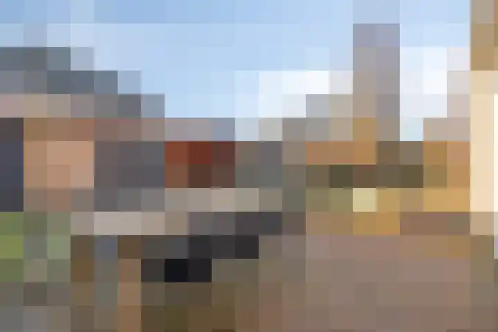 Garnizoenstraat 11 Schalkhaar thumbnail 4