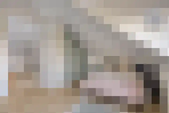 Garnizoenstraat 11 Schalkhaar thumbnail 44