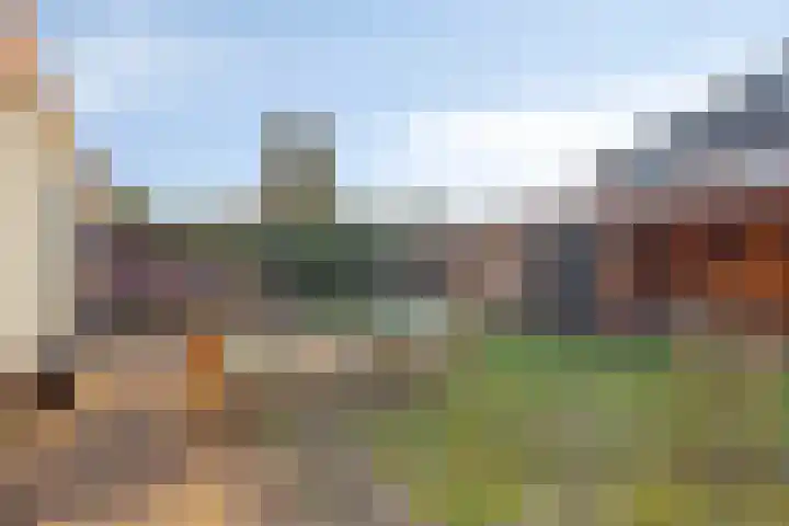Garnizoenstraat 11 Schalkhaar thumbnail 47