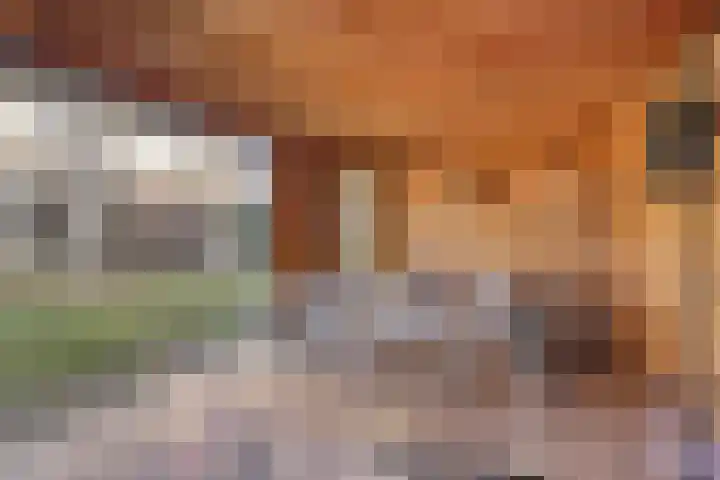 Garnizoenstraat 11 Schalkhaar thumbnail 52