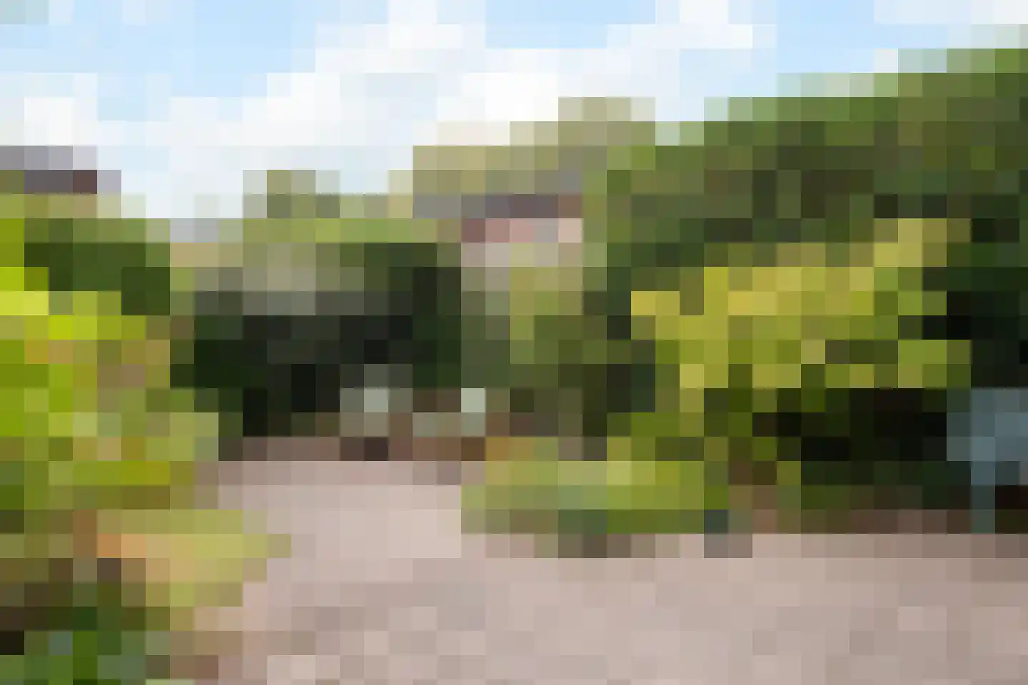 Garnizoenstraat 18 Arnhem thumbnail 12