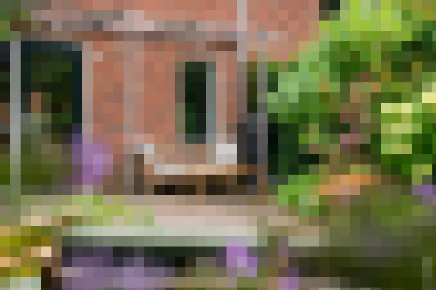 Garnizoenstraat 18 Arnhem thumbnail 16