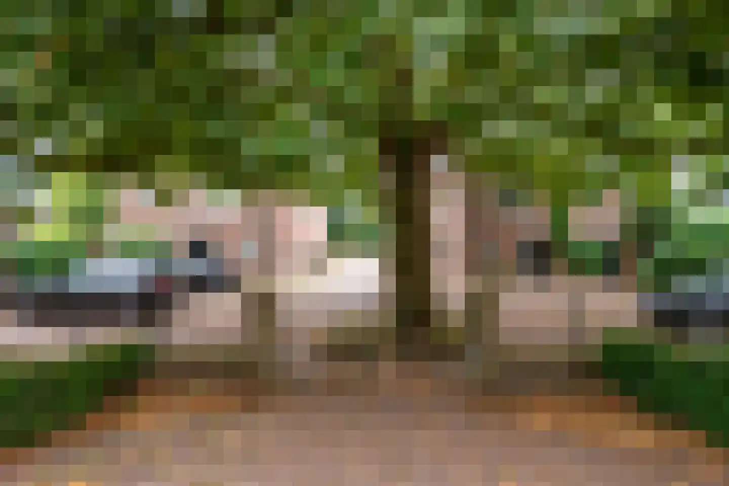 Garnizoenstraat 18 Arnhem thumbnail 5