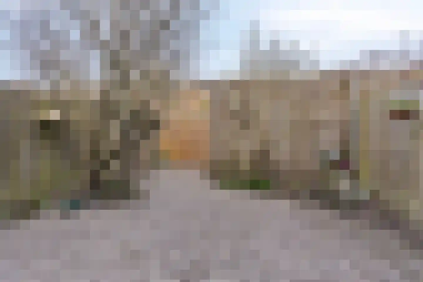 Garnizoenstraat 23 Arnhem thumbnail 36