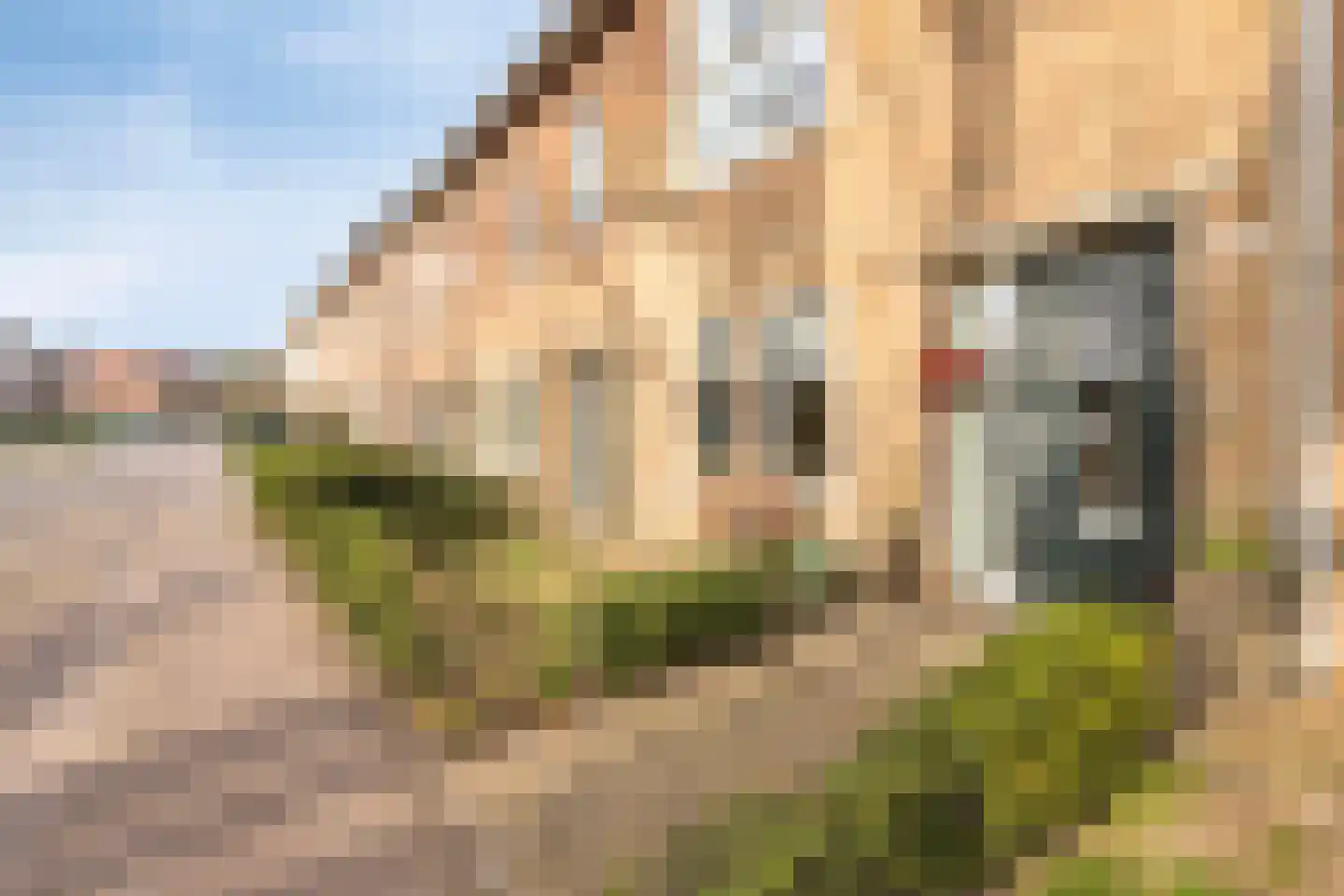 Garnizoenstraat 23 Arnhem thumbnail 48
