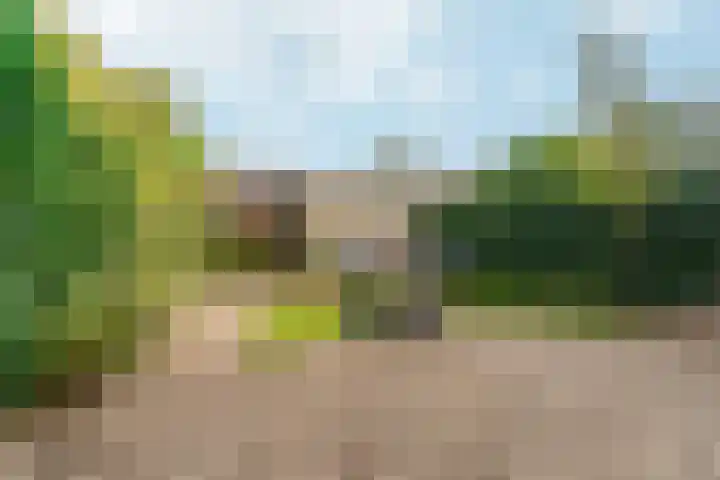 Garnizoenstraat 32 Arnhem thumbnail 30