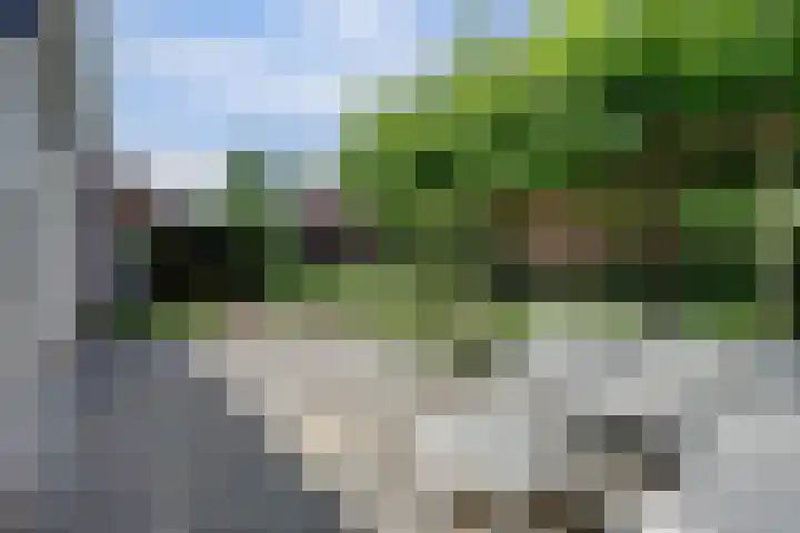 Garnizoenstraat 9 Schalkhaar thumbnail 21