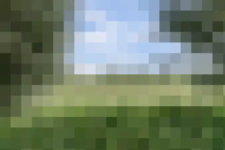 Garnizoenstraat 9 Schalkhaar thumbnail 22