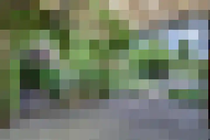 Garnizoenstraat 9 Schalkhaar thumbnail 23