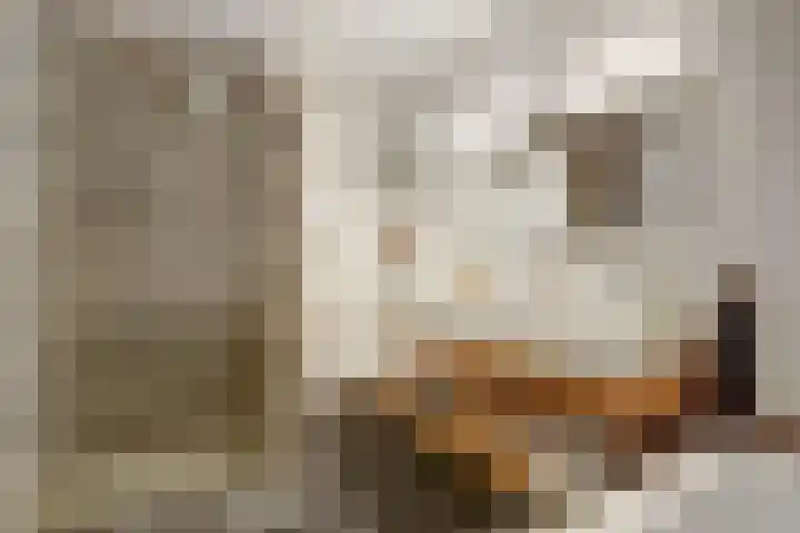 Garnizoenstraat 9 Schalkhaar thumbnail 31