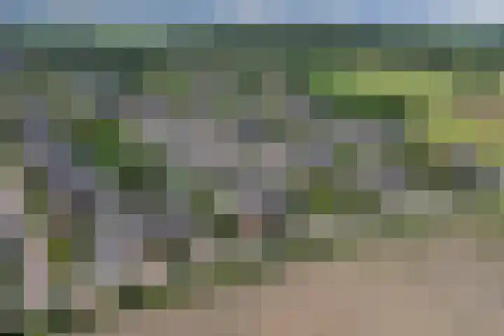 Garnizoenstraat 9 Schalkhaar thumbnail 39