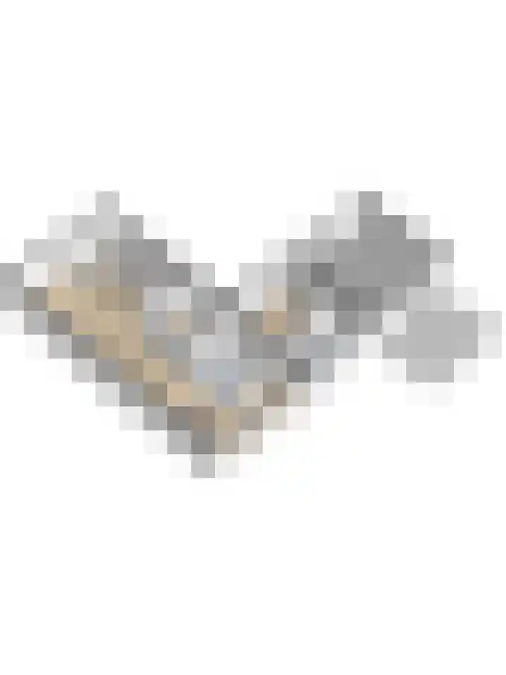 Garnizoenstraat 9 Schalkhaar thumbnail 49