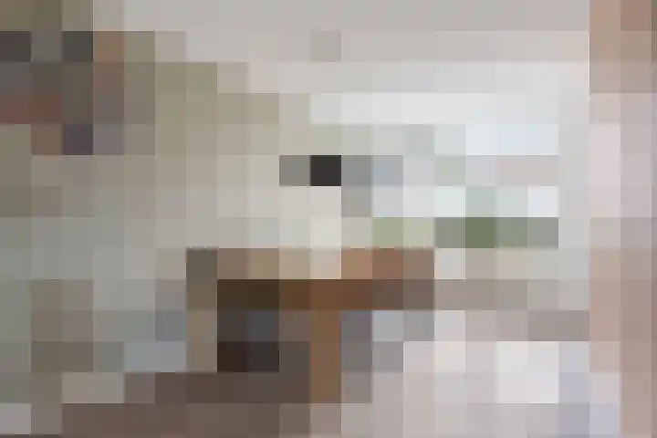 Garonnelaan 11 Eindhoven thumbnail 11